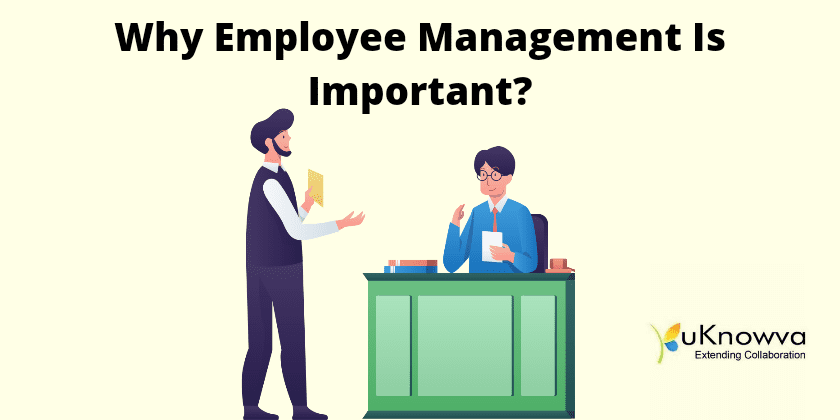 Why Employee Management Is Important? 5 Things To Know