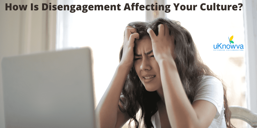 image for disengagement affecting your company culture Introimage