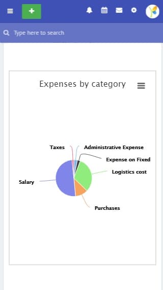 Expense report by category
